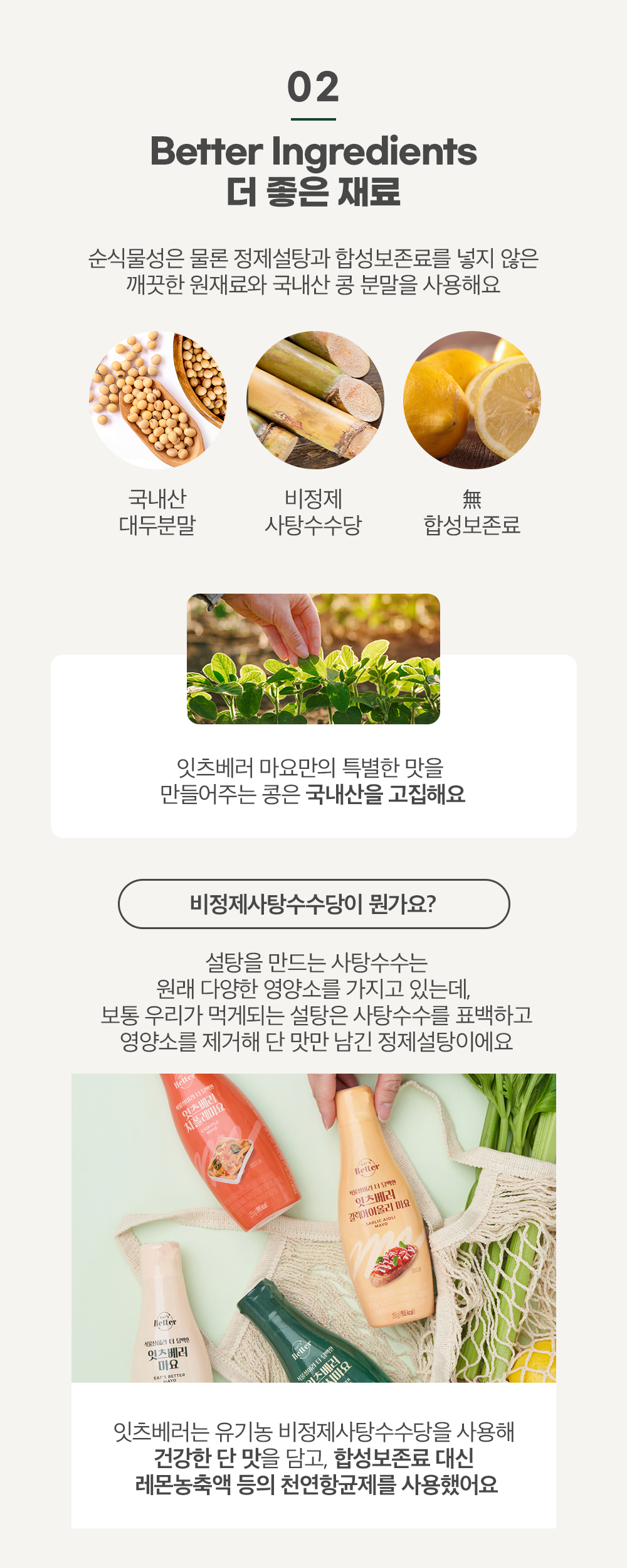 갈릭마요 (5)